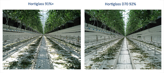 HortiGlass helder diffuus